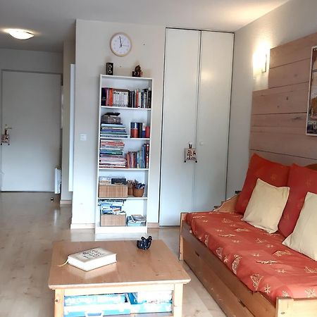 Le 102, T3 Pour 5 Personnes, Vue Montagne, Classe 2 Etoiles Nf, Parking, Piscine En Ete Bagnères-de-Luchon المظهر الخارجي الصورة