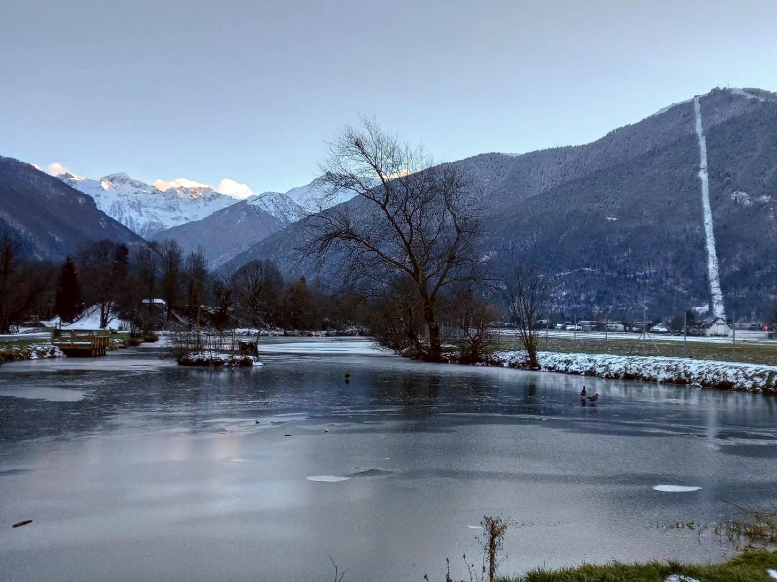Le 102, T3 Pour 5 Personnes, Vue Montagne, Classe 2 Etoiles Nf, Parking, Piscine En Ete Bagnères-de-Luchon المظهر الخارجي الصورة