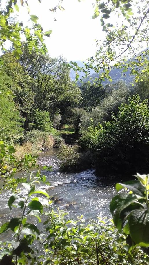 Le 102, T3 Pour 5 Personnes, Vue Montagne, Classe 2 Etoiles Nf, Parking, Piscine En Ete Bagnères-de-Luchon المظهر الخارجي الصورة