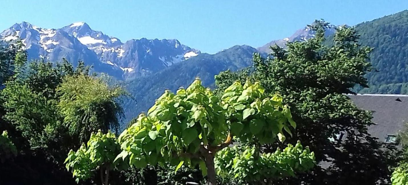 Le 102, T3 Pour 5 Personnes, Vue Montagne, Classe 2 Etoiles Nf, Parking, Piscine En Ete Bagnères-de-Luchon المظهر الخارجي الصورة
